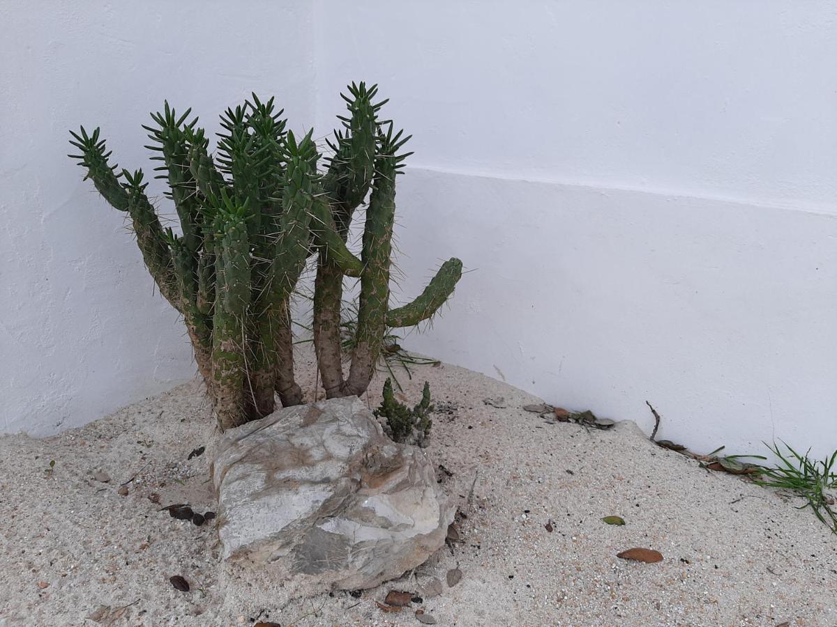 Willa Monte Vale Manhas By Hi Alentejo São Bartolomeu da Serra Zewnętrze zdjęcie